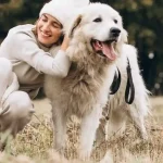 best dogs for first-time owners beginner-friendly dog breeds