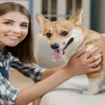 Animal insurance for dogs coverage chart and vet care illustration