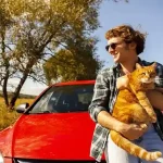 how to take a car trip with your cat safely in a carrier