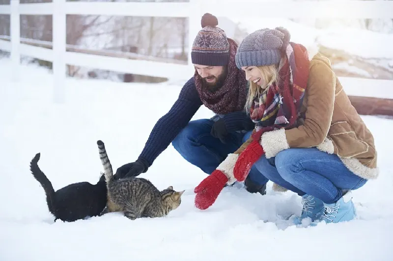 winter cat care tips showing people protecting a cat in cold weather